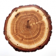 [2 1Ʈ]  ̺Ʈ ø  35 cm CONTENTO Placemats Olive Wood  35 cm 868850