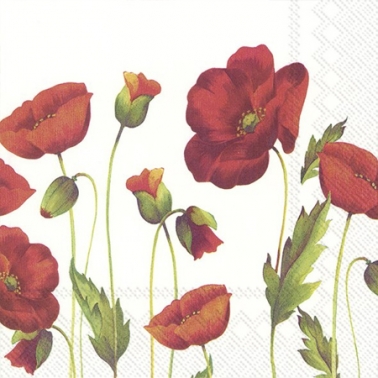 ÀÌ¾î ÆäÀÌÆÛ ·±Ä¡³ÀŲ ¾ç±Íºñ²É IHR POPPY white Lunch Tissue L867590