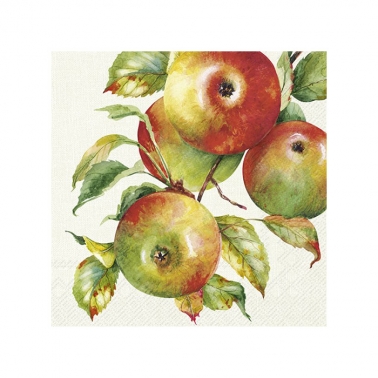 ÀÌ¾î ÆäÀÌÆÛ Ä¬Å×ÀϳÀŲ Ȩ±×¶ó¿î ¾ÖÇà IHR HOME GROWN APPLES cream C1052460